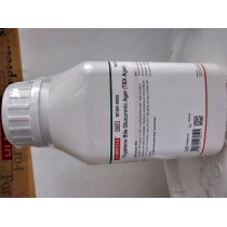 TBX Agar